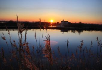 Lampedusa 119 has Balcony rooms
