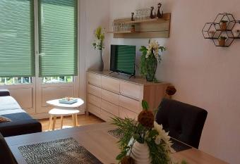 R  sidence Laennec Tout Confort LOOS les LILLE - Proche CHR et Fac M  decine - M  nage et linge en option has Balcony rooms