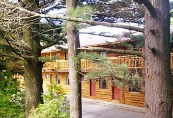 The Boha Hotel has Balcony rooms