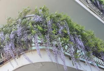 Casa Angelina has Smoking/Balcony rooms