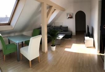 Kuschelige Dachgeschosswohnung am Clarapark allows 18 year olds to book a room