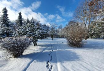 Zum Rittmeister has Balcony rooms