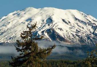 Lone Fir Resort has Balcony rooms