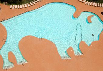 Buffalo Bills Resort & Casino has Smoking rooms