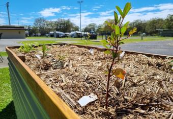 Reflections Holiday Parks Coffs Harbour has Balcony rooms