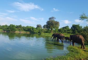 Kuma Safari Lodge has Balcony rooms