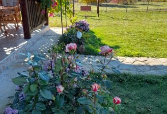 Apartmani Petar has Balcony rooms