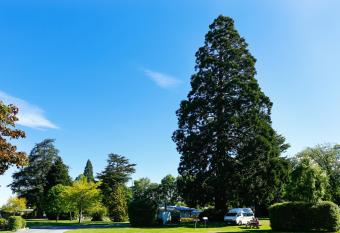 Geraldine TOP 10 Holiday Park has Balcony rooms