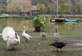 La Justina - Nuestro Campo has Balcony rooms