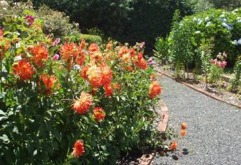 Boat Harbour Garden Cottages has Balcony rooms