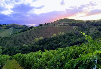 Agricola Lanciani has Balcony rooms