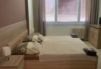 Apartm  ny Havl    kova allows 18 year olds to book a room
