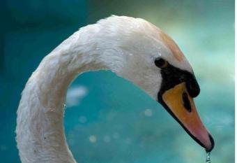 Lydia Hotel has Balcony rooms