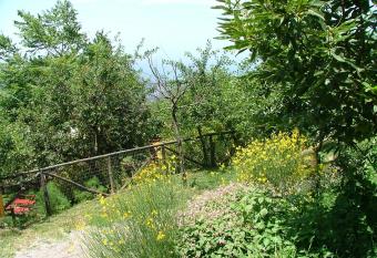 Agriturismo La Ginestra has Balcony rooms