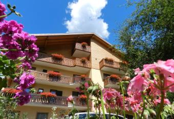 Cimon Dolomites Hotel has Balcony rooms