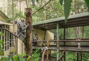 Springwood Meditation Centre                          allows 18 year olds to book a room