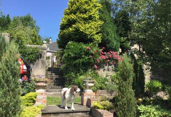 Ardtalla allows 18 year olds to book a room