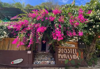Pura Vida Hostel has Balcony rooms