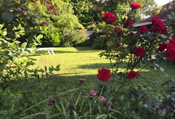 Hava apartment allows 18 year olds to book a room