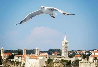 Apartmani Daniela has Smoking/Balcony rooms