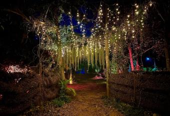 The Wild Side allows 18 year olds to book a room