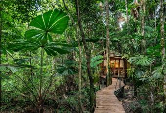 Daintree Wilderness Lodge has Balcony rooms
