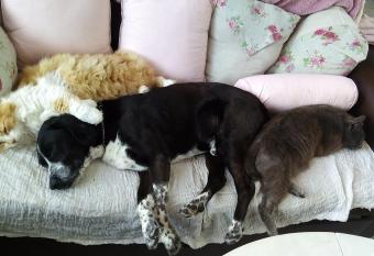 Chambre d H  tes du Phenix has Balcony rooms