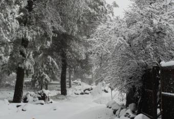 Gate Away B&B Units -                          allows 18 year olds to book a room