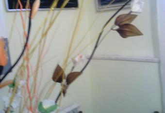 Appartamento Il Sole allows 18 year olds to book a room