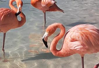 Palmita Hotel Hostel has Balcony rooms