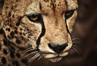 Mama Thea homes has Balcony rooms