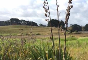 Entabeni allows 18 year olds to book a room