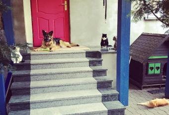 Galeria Rozana has Balcony rooms