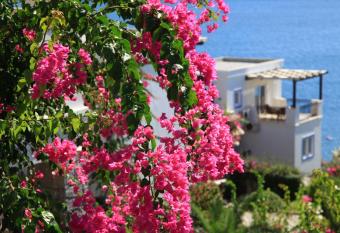 Aktur Residence has Balcony rooms