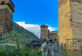 Nizharadze s Tower has Balcony rooms