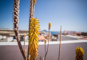 Plaza Vista Mar has Balcony rooms