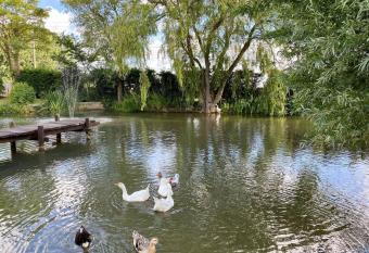 Au coeur de la Flandre allows 18 year olds to book a room