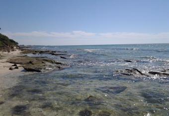 Florida apartment has Balcony rooms