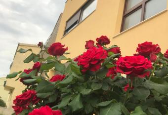 Apartman MIG has Balcony rooms