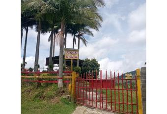 Finca Hotel Palmeras de Isabel has Balcony rooms
