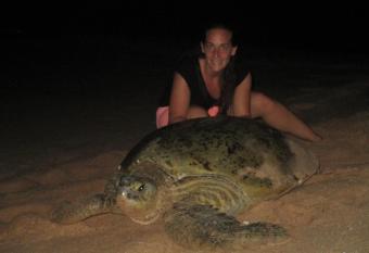 All View Resort has Balcony rooms