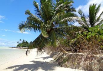 HCS Bungalows Turtle Bay Rustic Bungalow allows 18 year olds to book a room