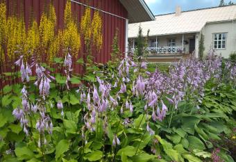 Tohninm  en Talo has Balcony rooms