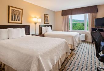 Silver Fox Inn allows 18 year olds to book a room