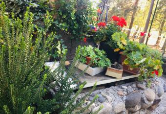 Tiny House - Lake Maggiore -Malpensa Airport - allows 18 year olds to book a room