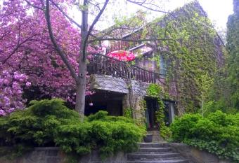 Cola Panzi   has Balcony rooms