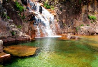 Luxury 3 Bedroom Penthouse With Private Garage allows 18 year olds to book a room