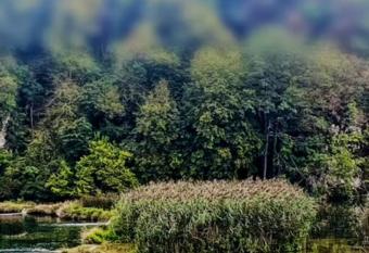 Ku  a za odmor Mre  nica has Balcony rooms