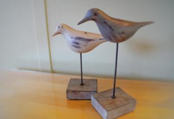 Gisborne Peak Winery Short Term Stays allows 18 year olds to book a room