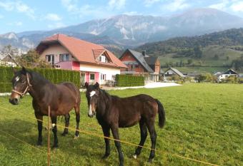 Apartment Marjetka allows 18 year olds to book a room